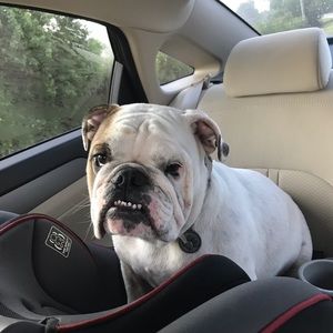 Meet your Posher, Gabriele